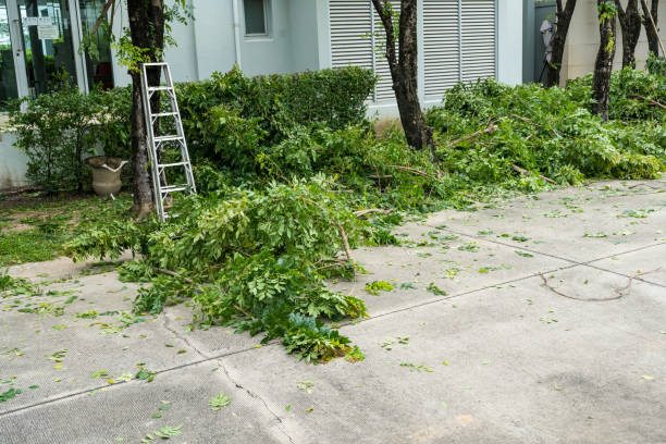 Best Tree Trimming and Pruning  in Magna, UT